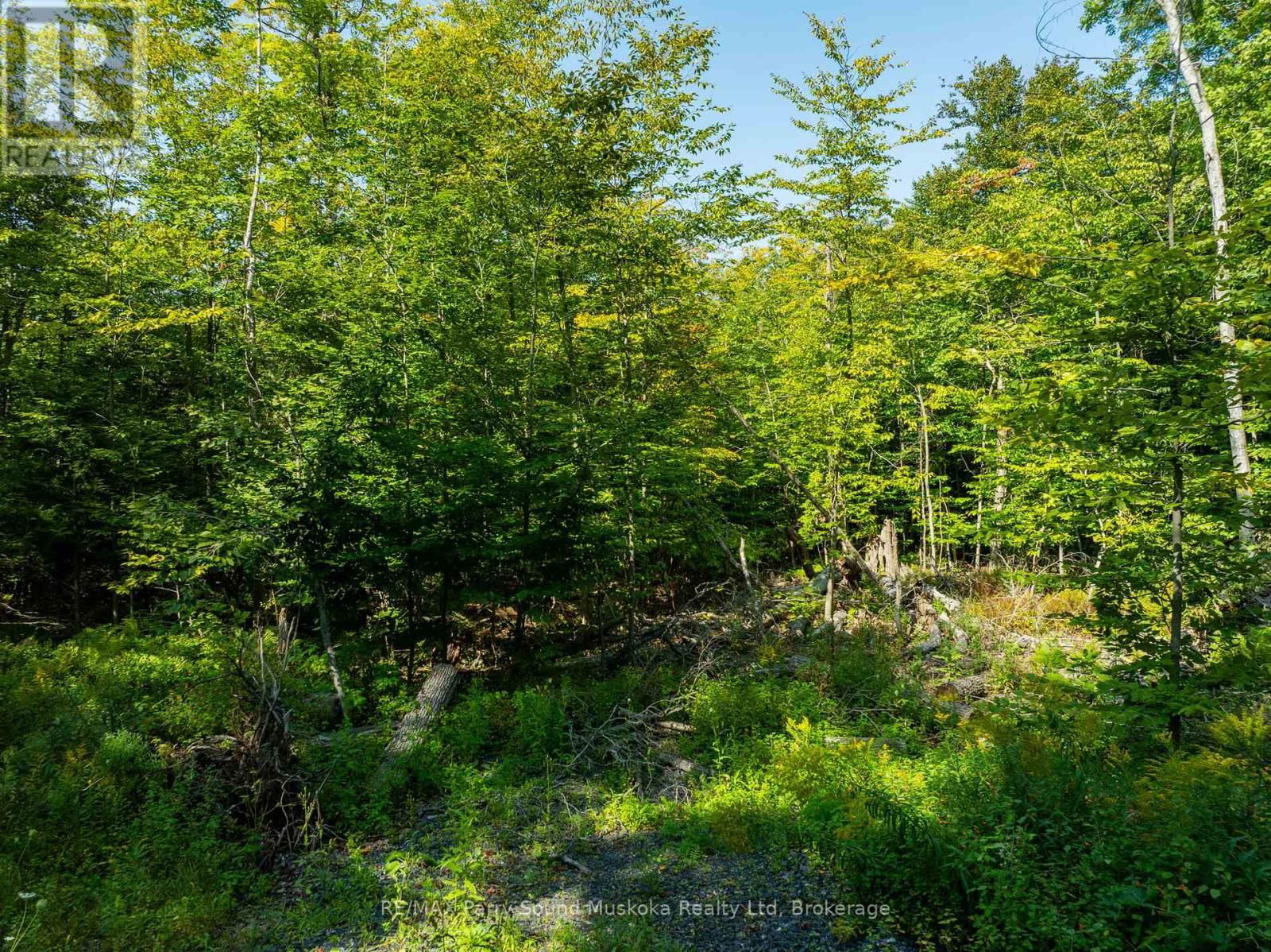 18 BURNSIDE BRIDGE ROAD Image 17