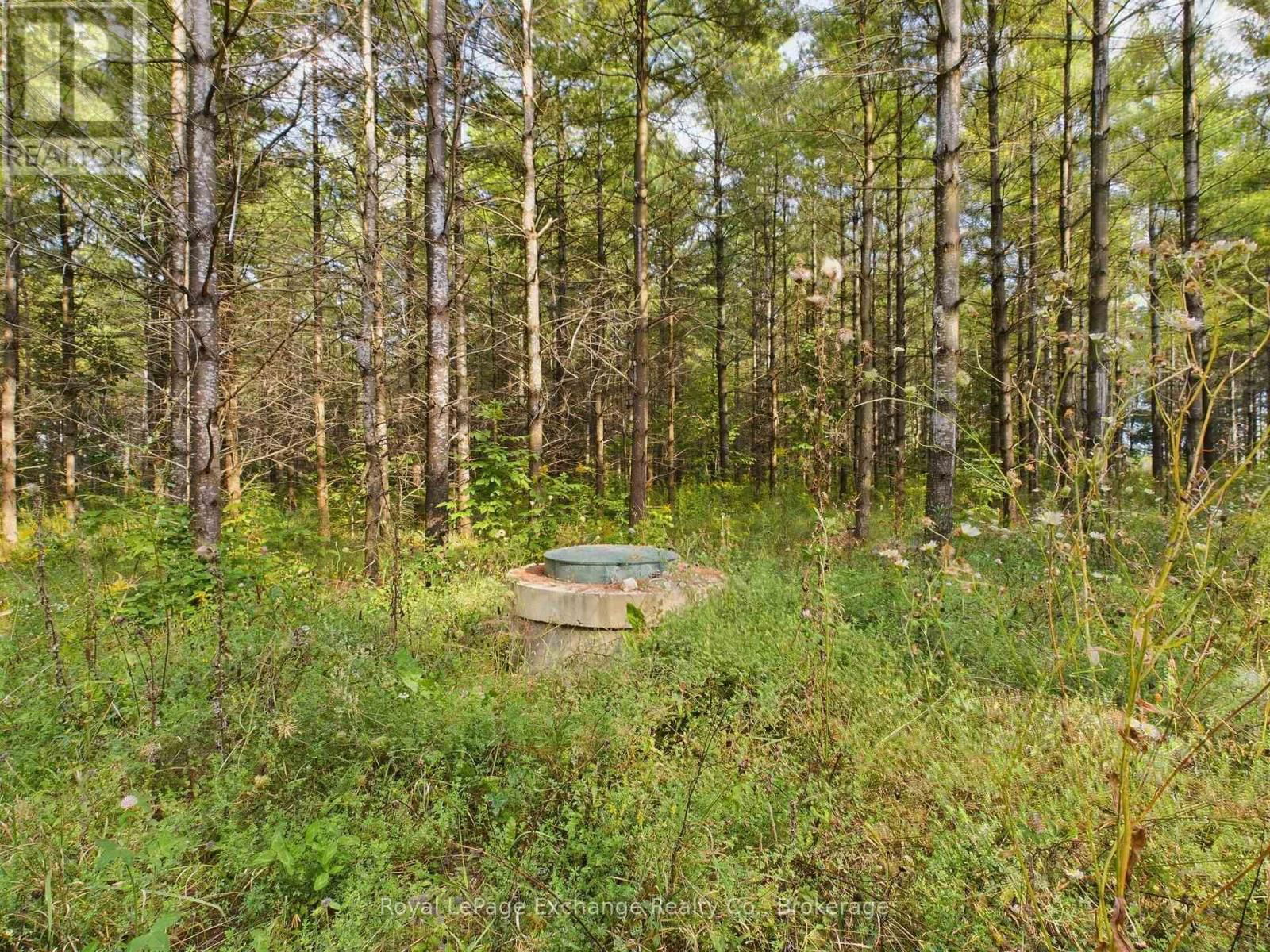 502265 CONCESSION 10 NDR CORNERS Image 7
