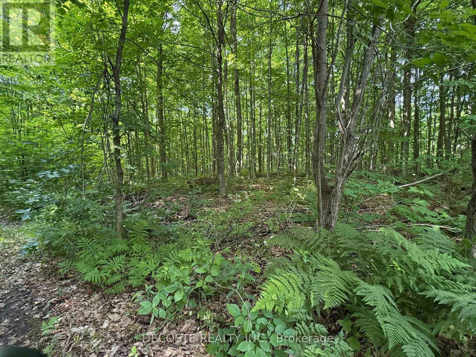 2654 COUNTY 30 ROAD Image 33
