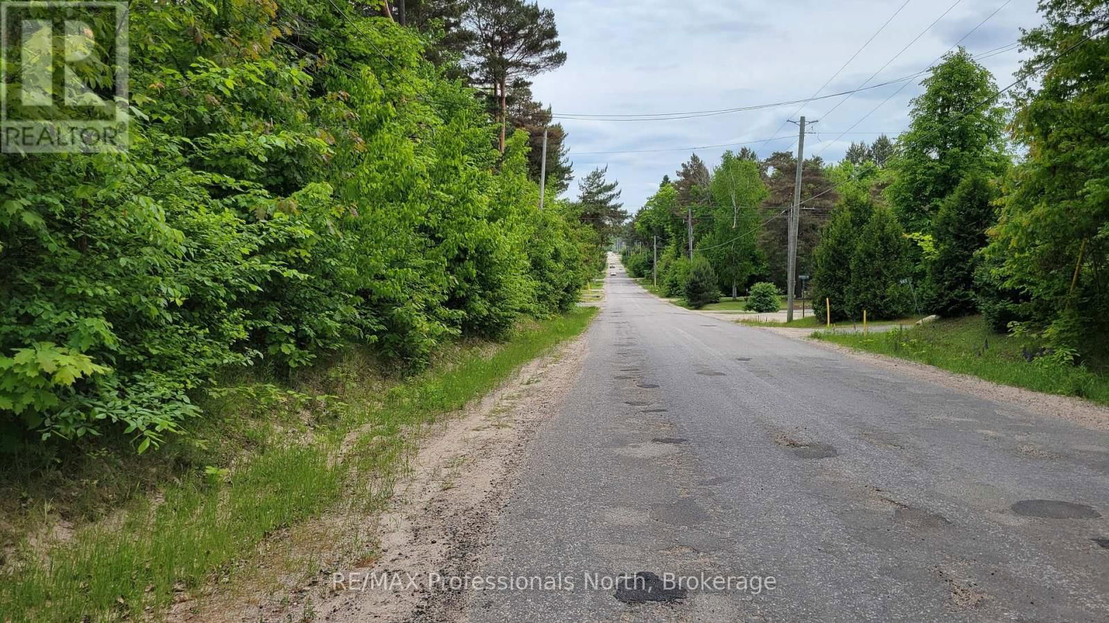 101 ALBERT STREET Image 1