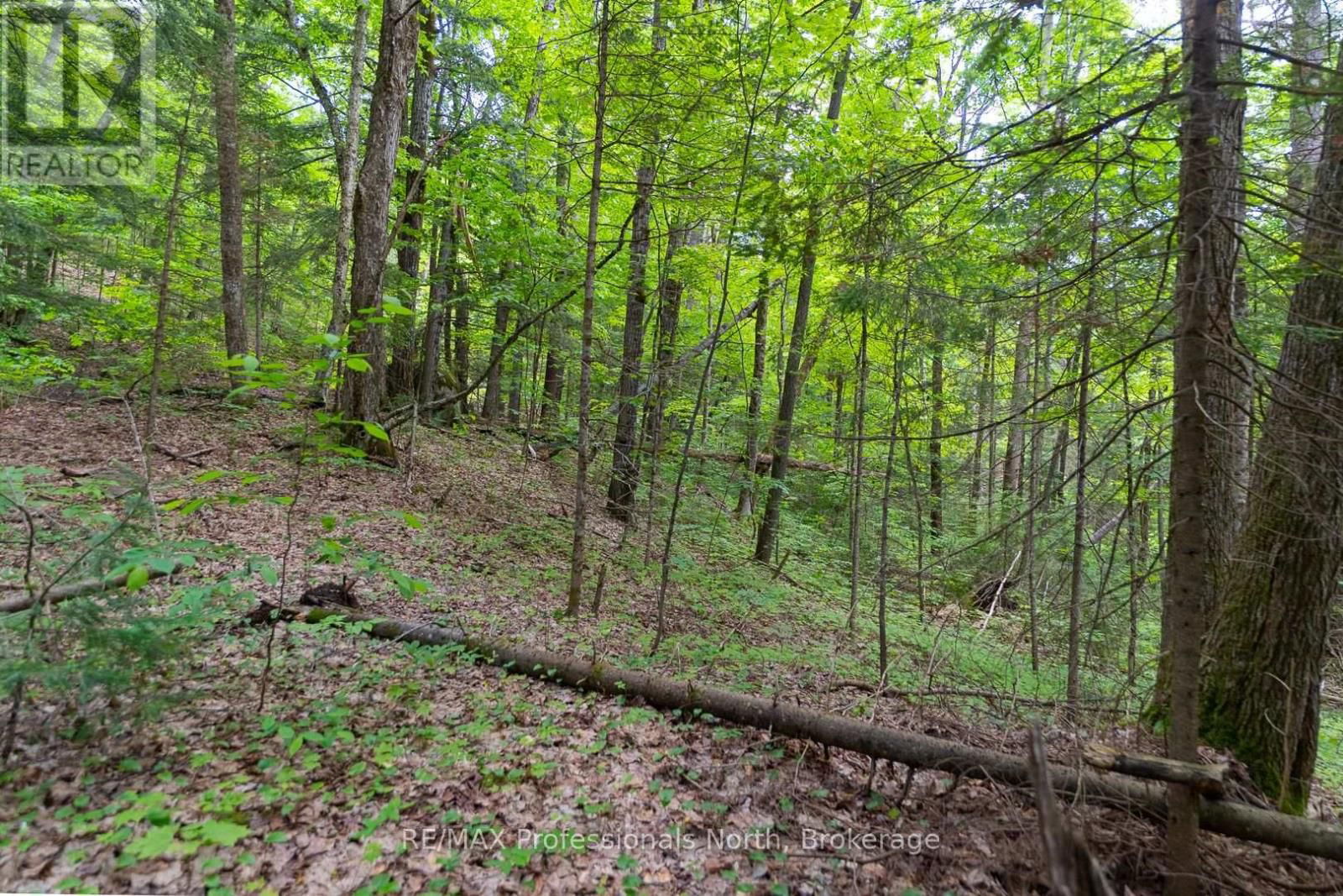 LOT 20 - 6 CONCESSION Image 11