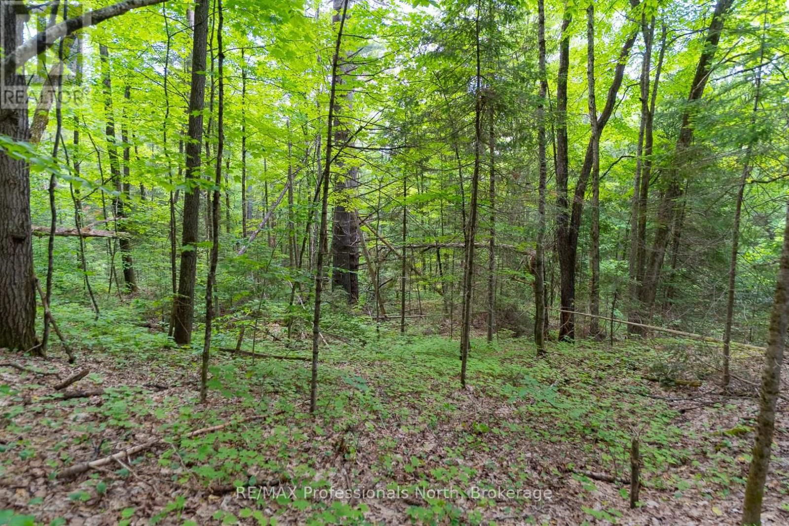 LOT 20 - 6 CONCESSION Image 12