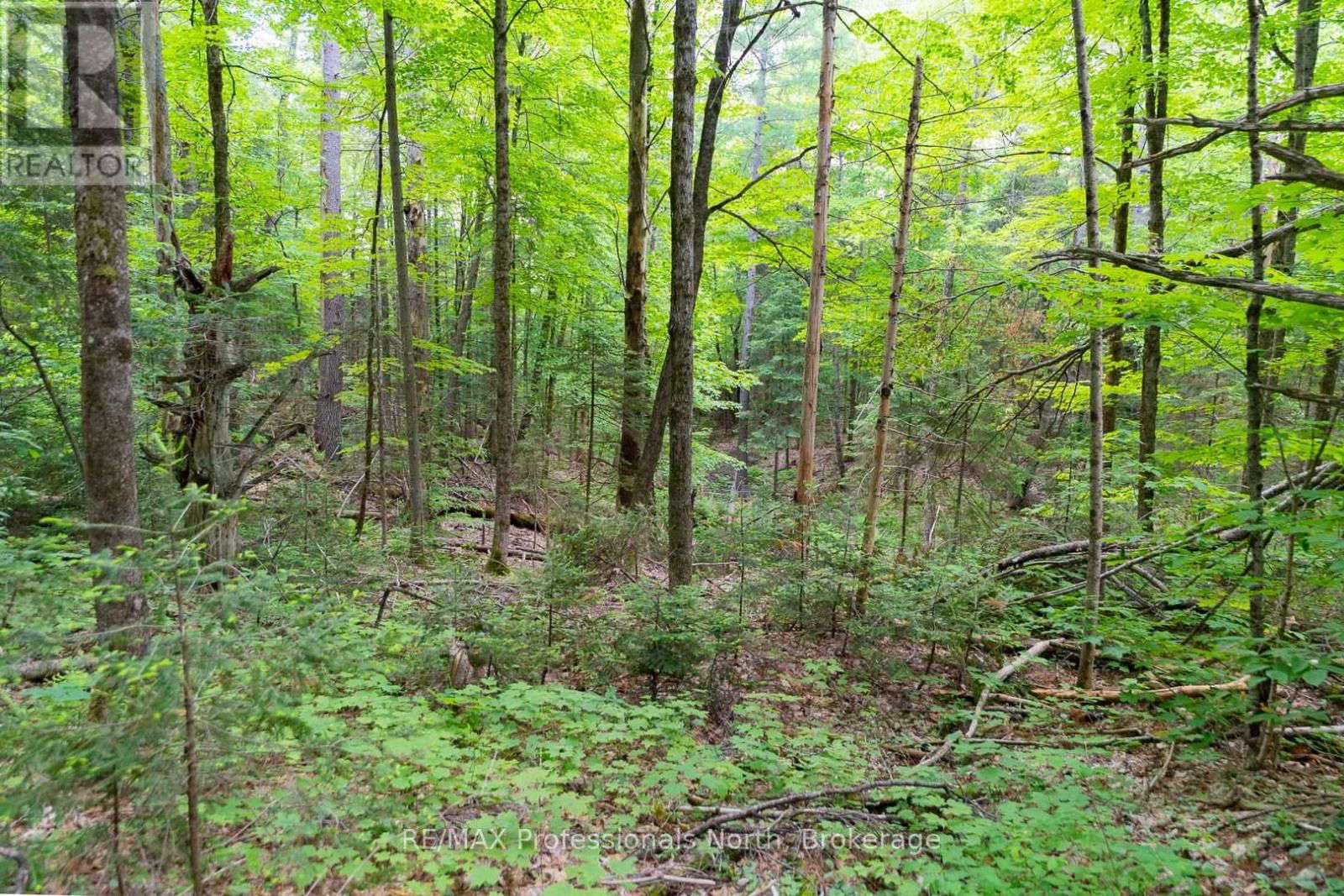 LOT 20 - 6 CONCESSION Image 13
