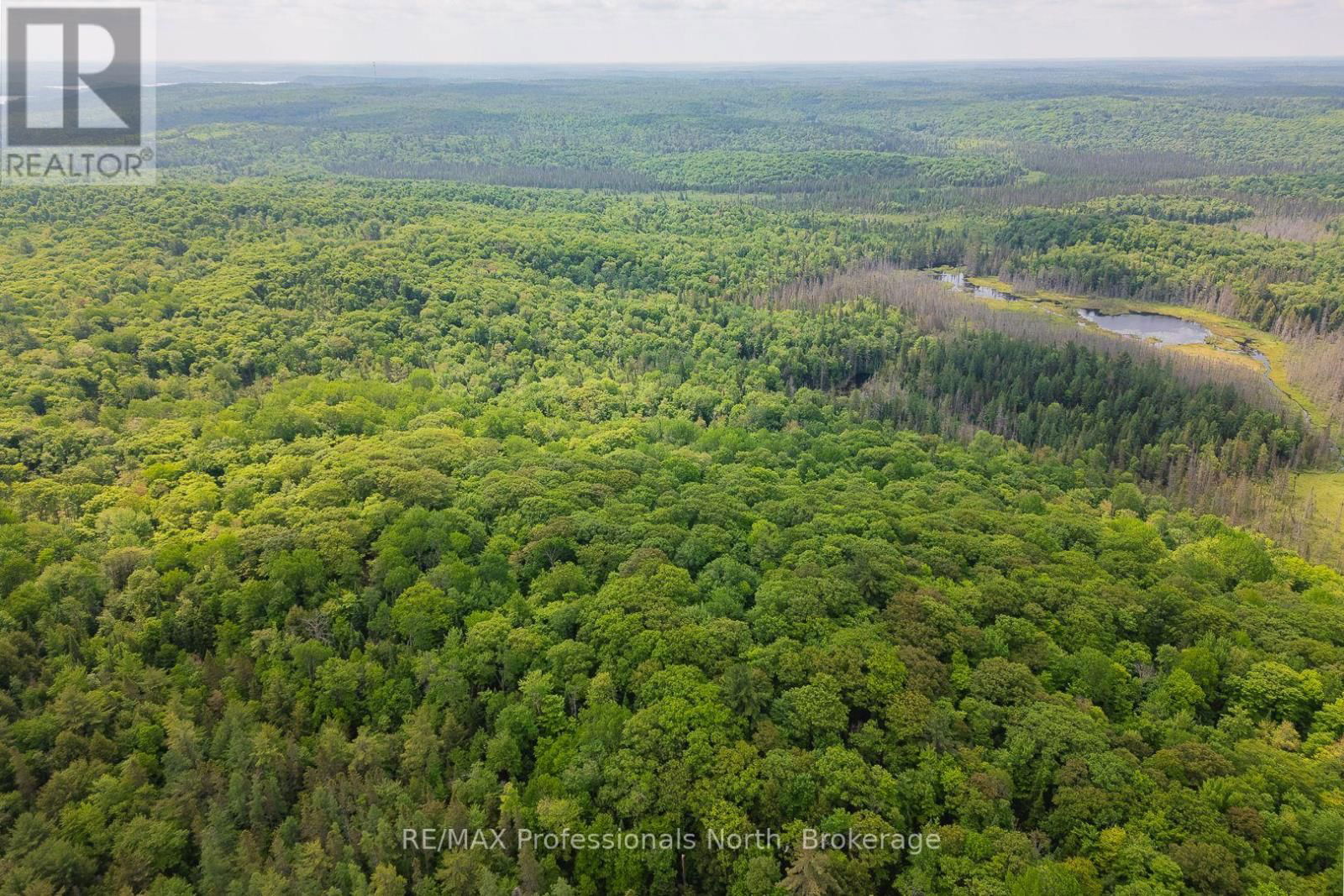 LOT 20 - 6 CONCESSION Image 4