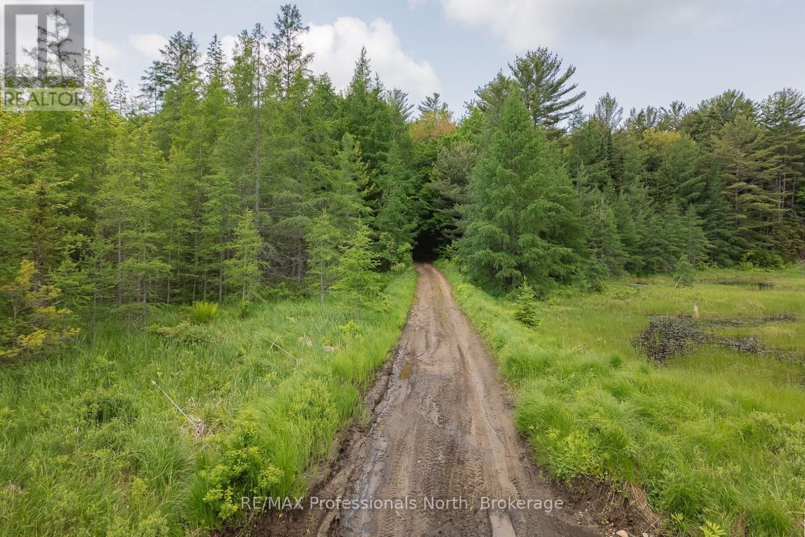 LOT 20 - 6 CONCESSION Image 8