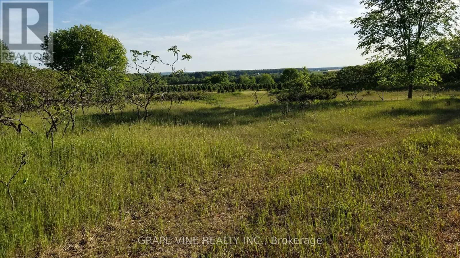4599 MOHRS ROAD Image 2