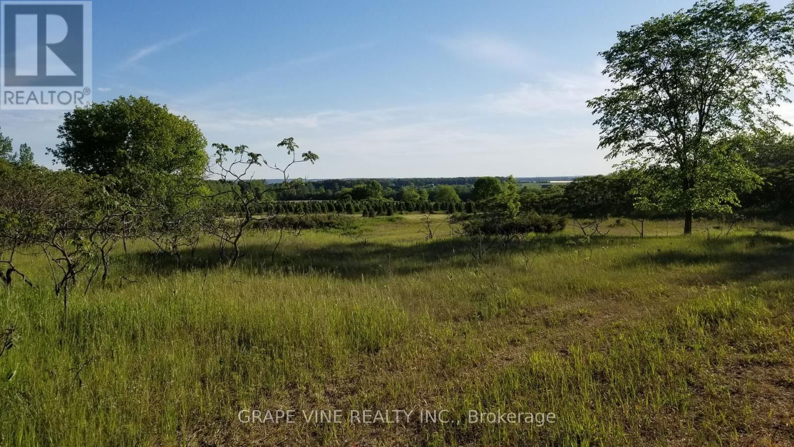 4599 MOHRS ROAD Image 3