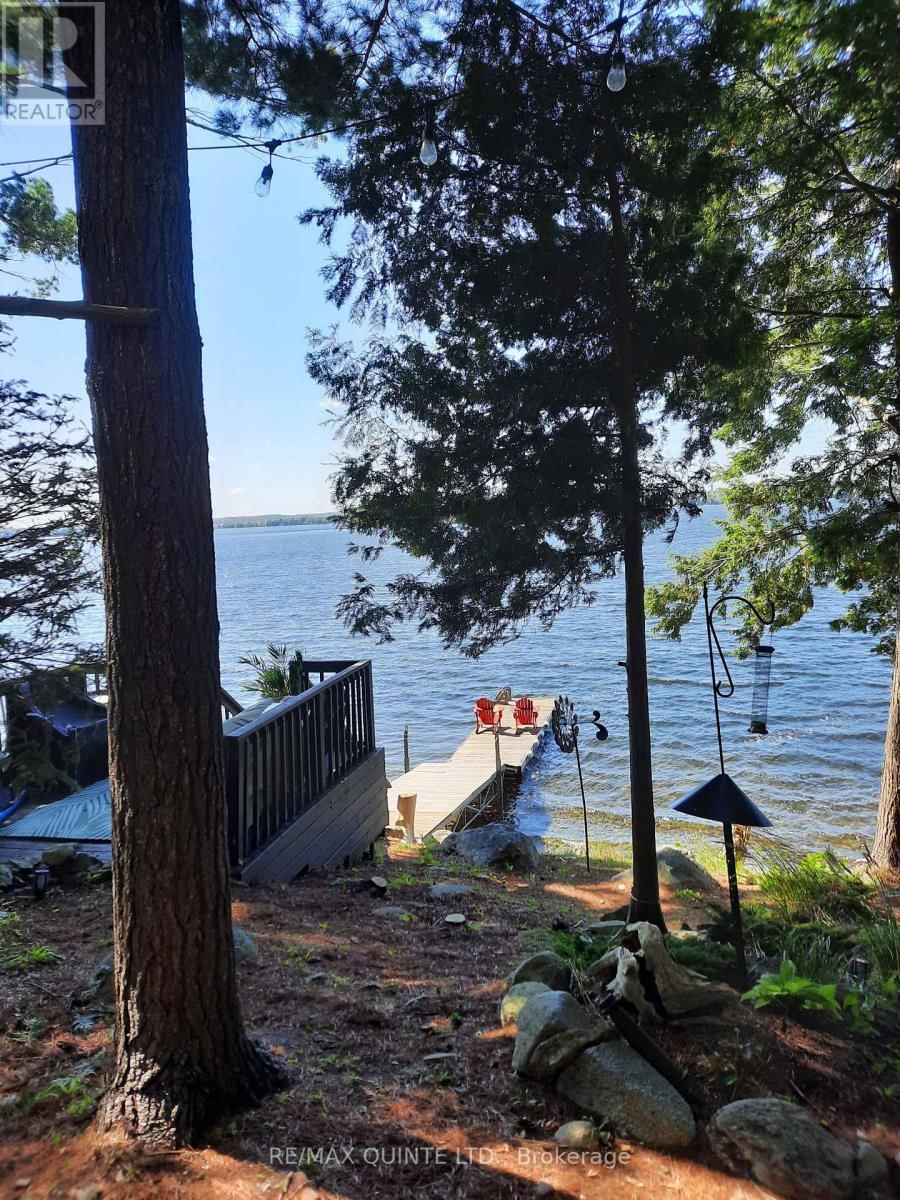 44 SETTER LANE Image 34