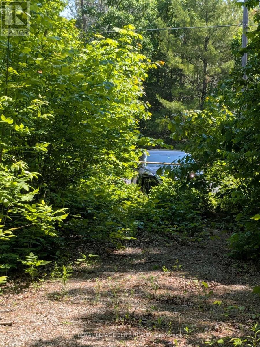 559 HONEY HARBOUR ROAD Image 4