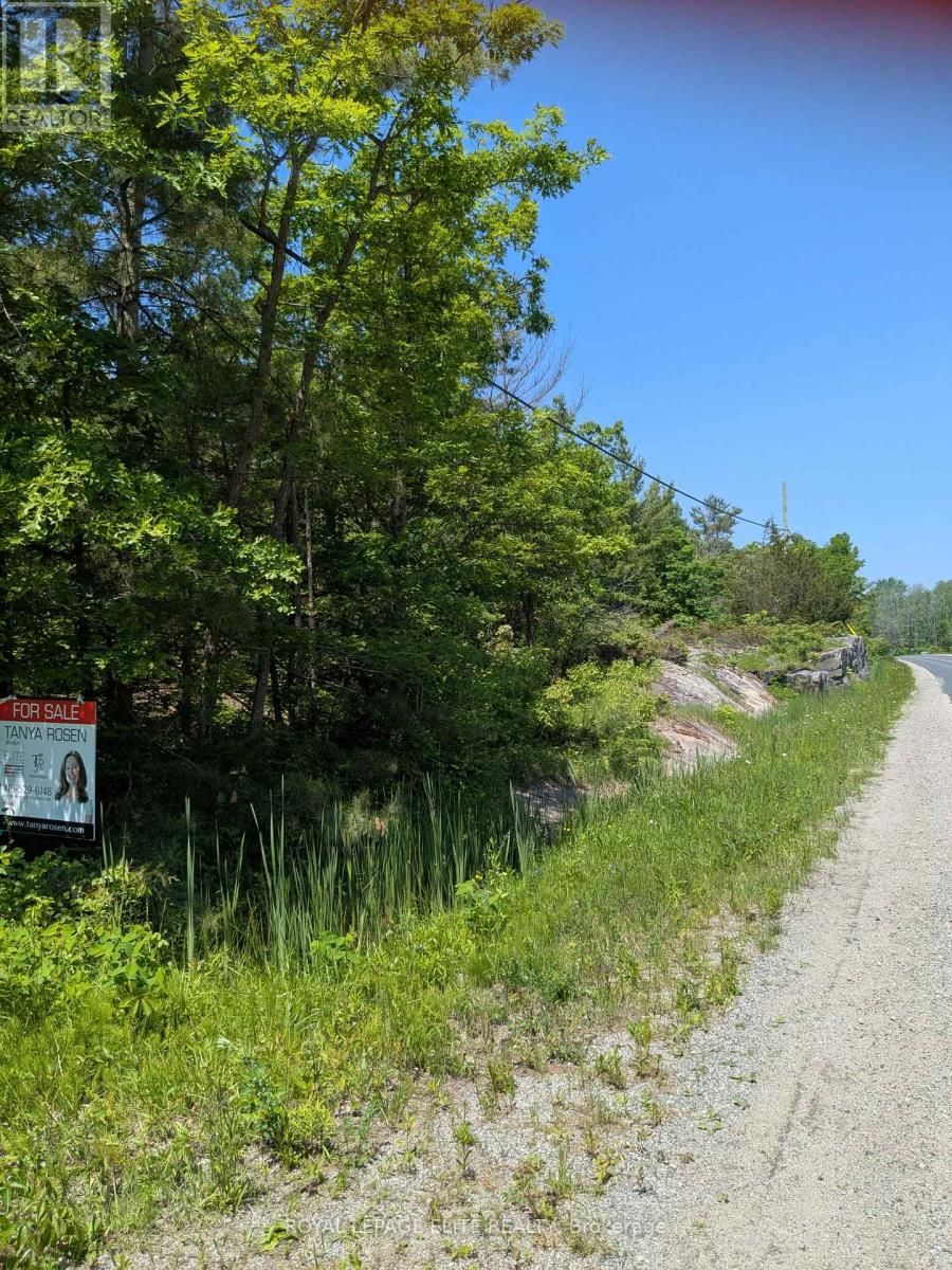 559 HONEY HARBOUR ROAD Image 5