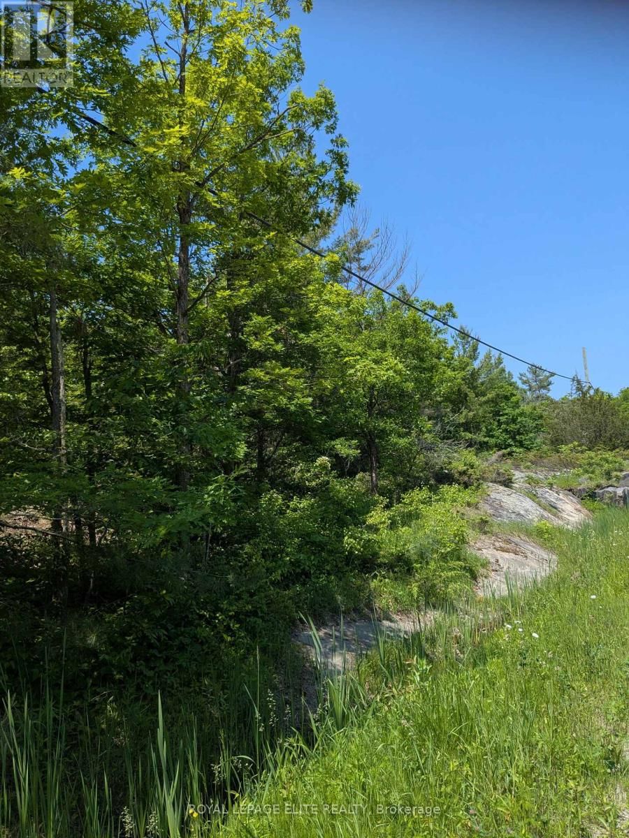 559 HONEY HARBOUR ROAD Image 6