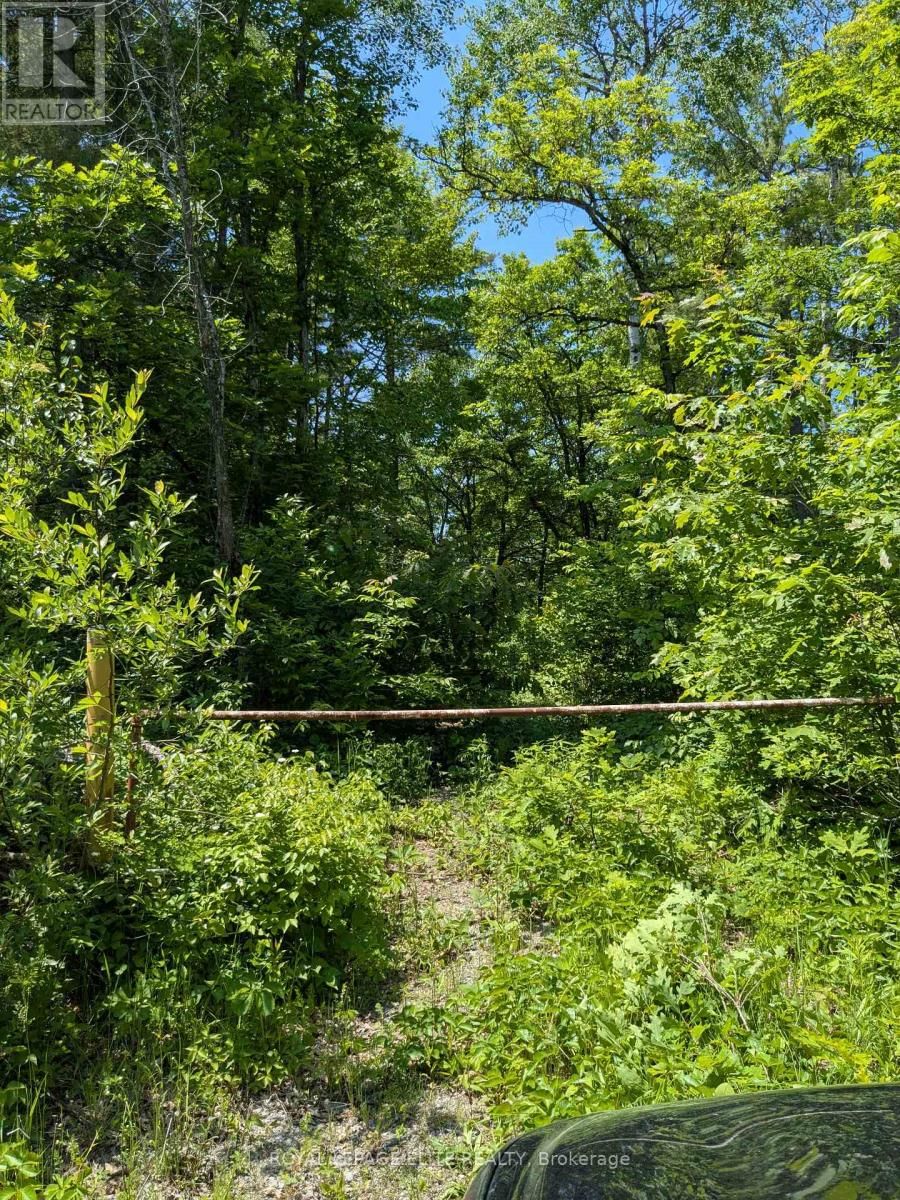 559 HONEY HARBOUR ROAD Image 7