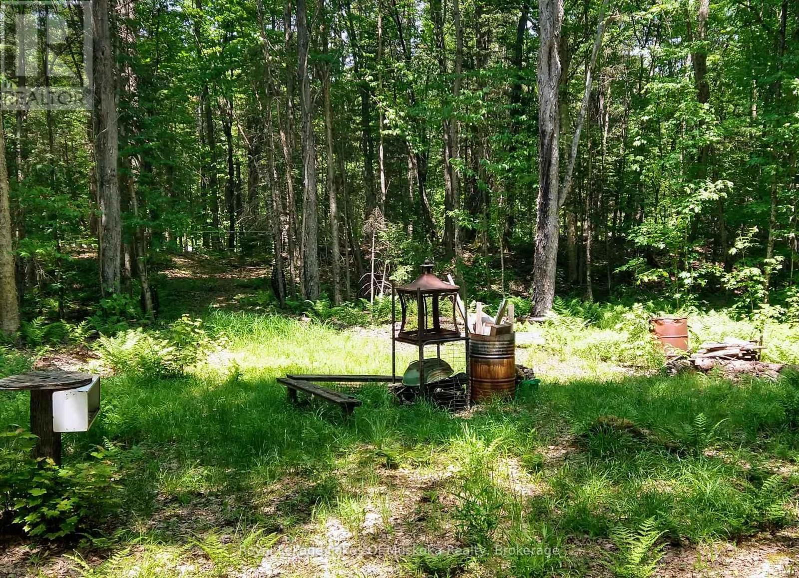 32 OLD RAINY LAKE ROAD Image 42