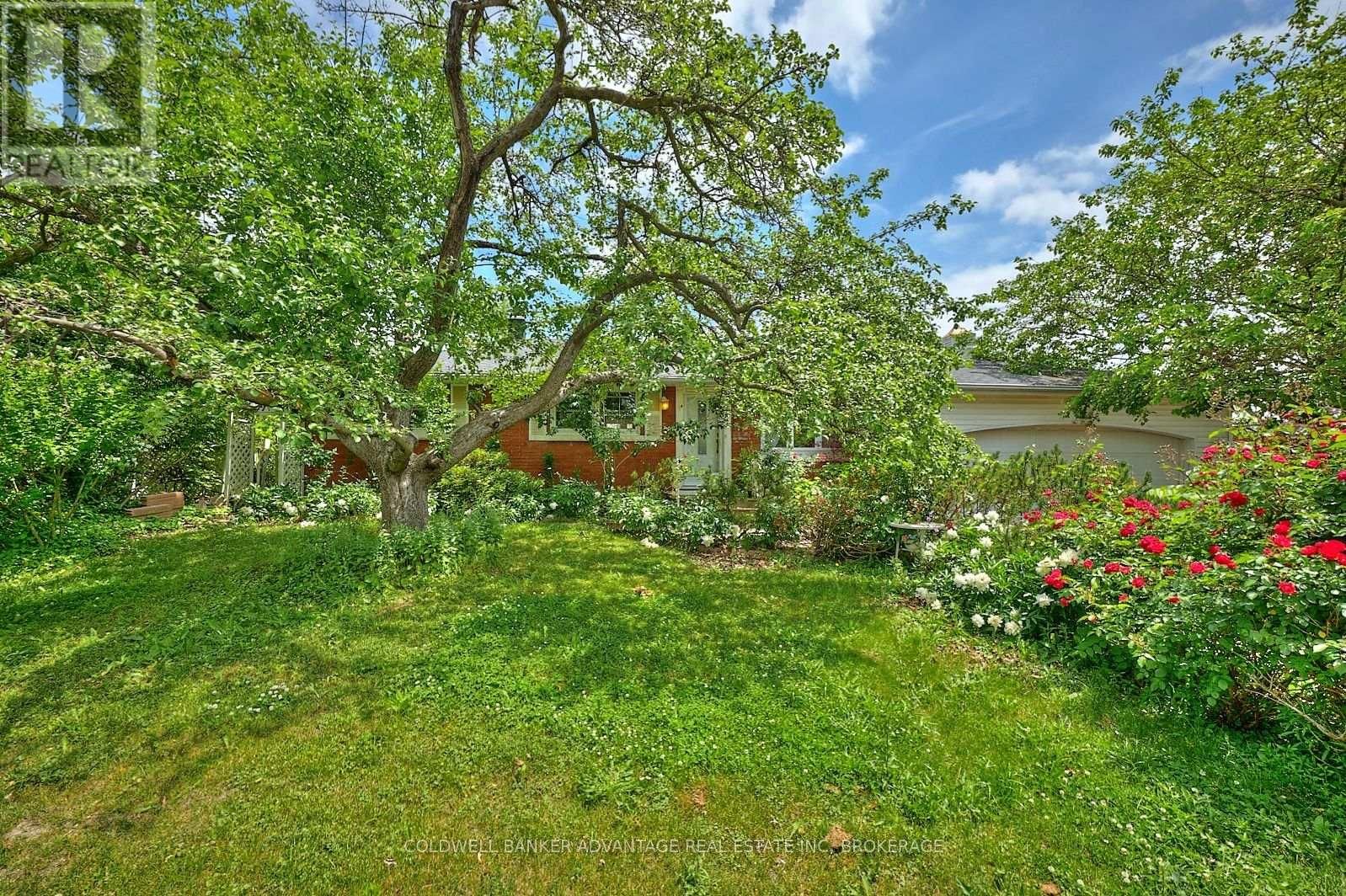 Primary Property View