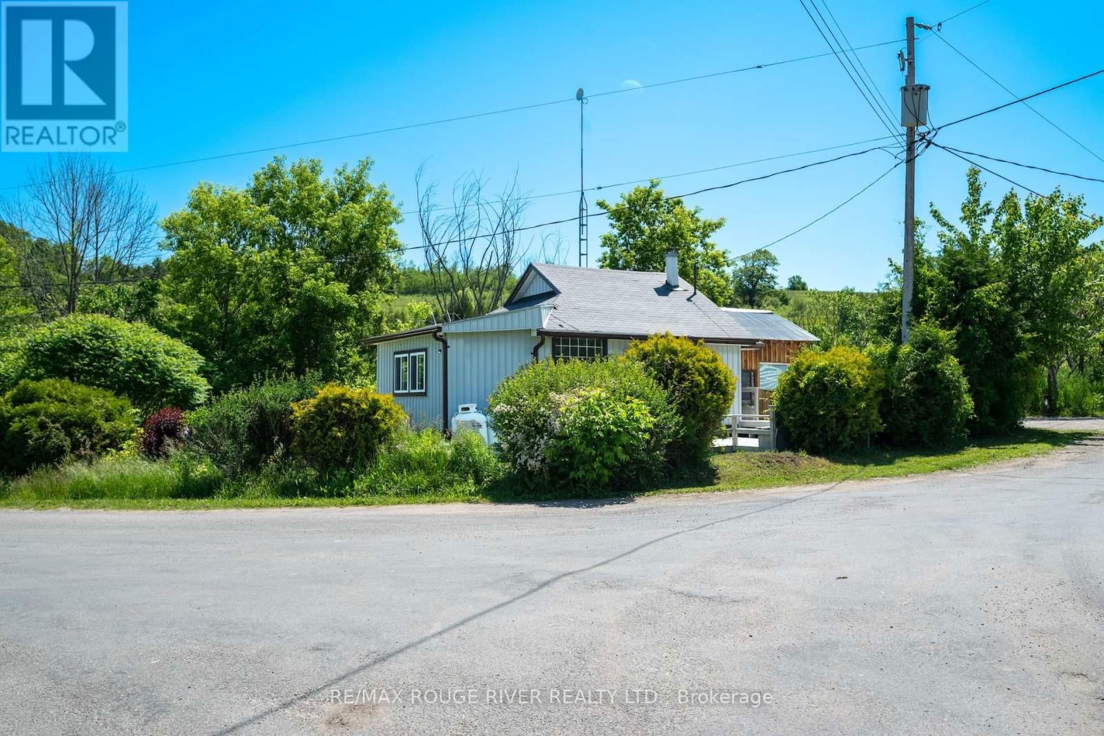 Primary Property View