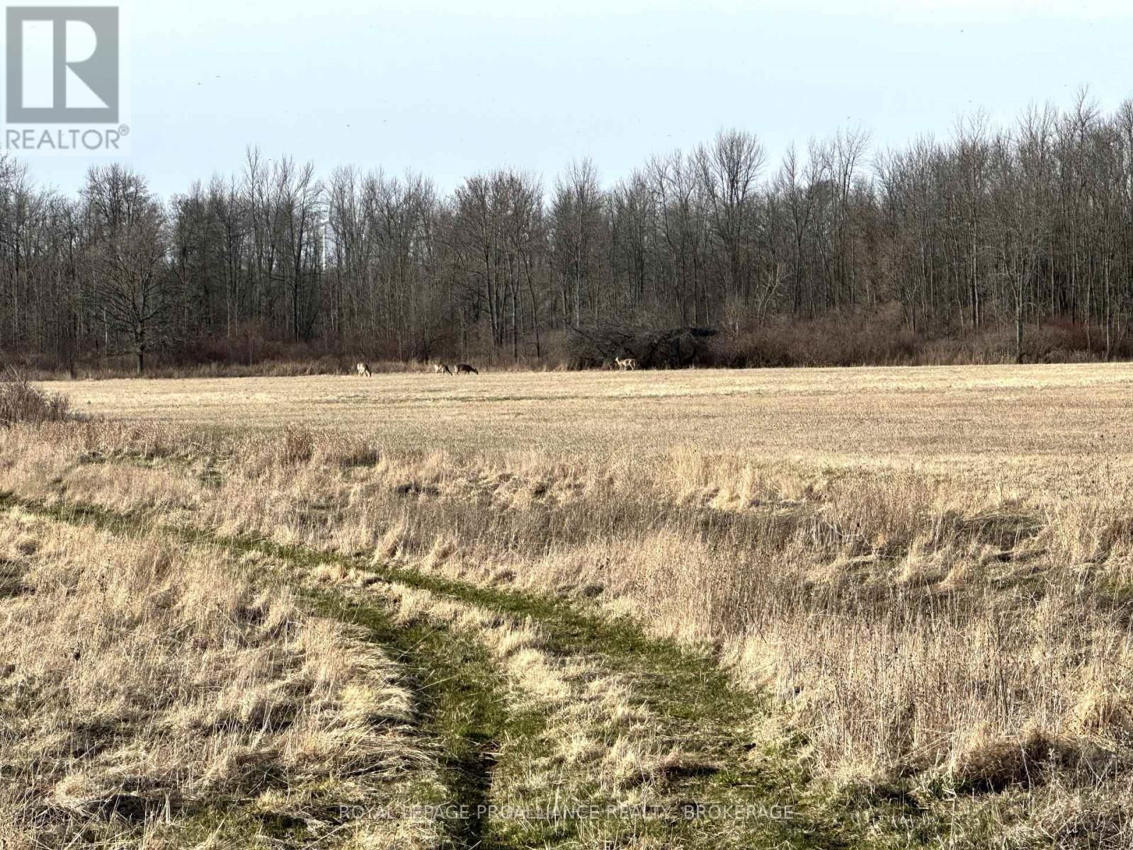68 3RD CONCESSION ROAD Image 3