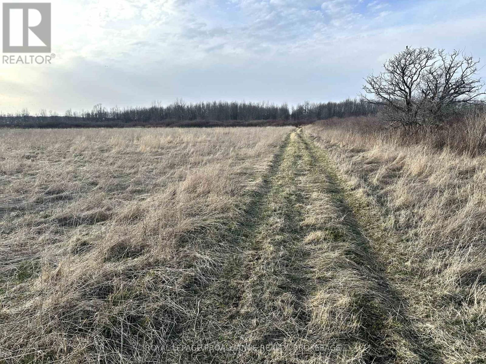 68 3RD CONCESSION ROAD Image 4