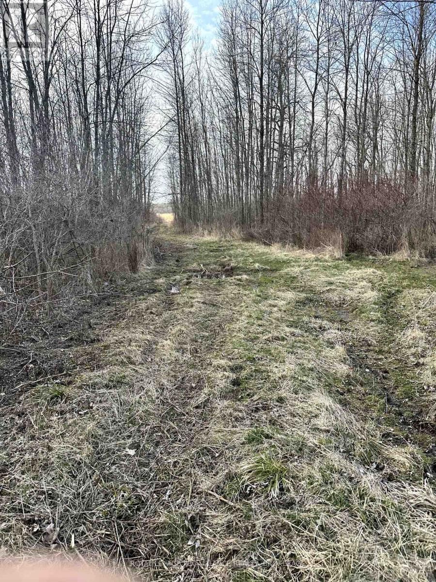 68 3RD CONCESSION ROAD Image 5