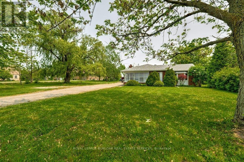 Primary Property View
