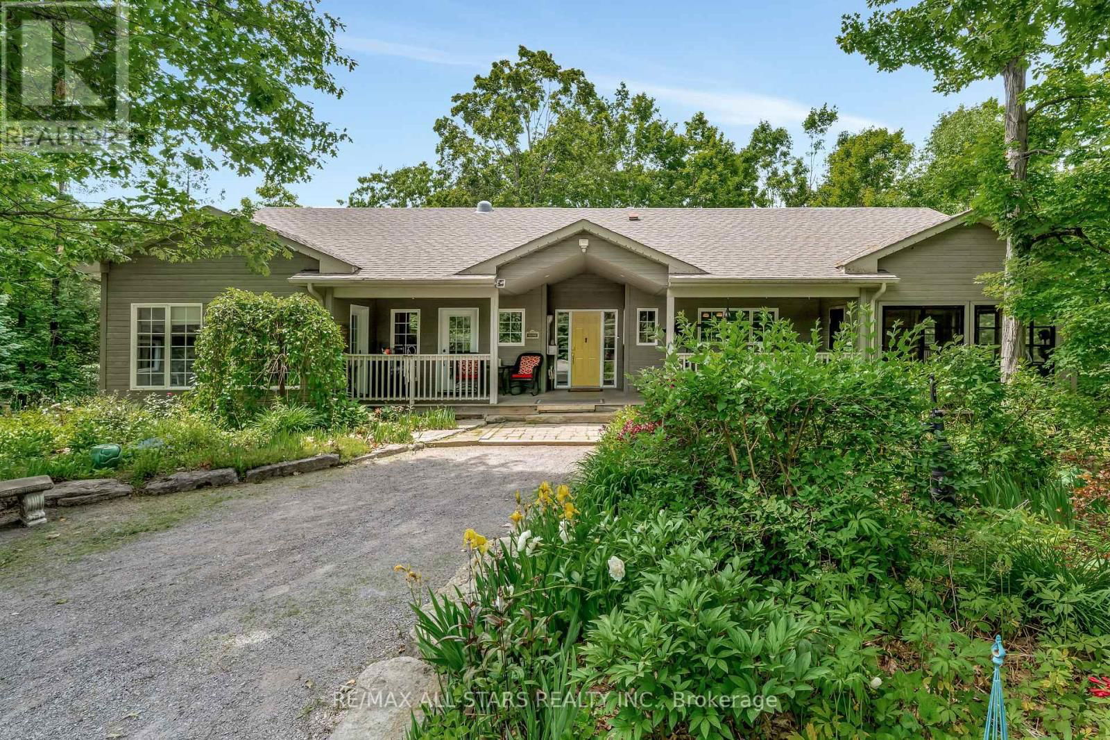 Primary Property View