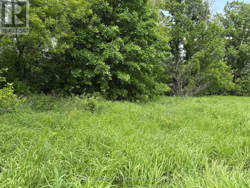 Tertiary Property View