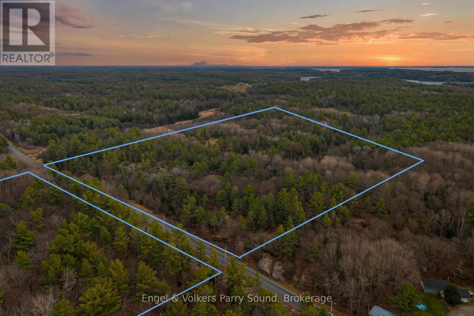 Primary Property View