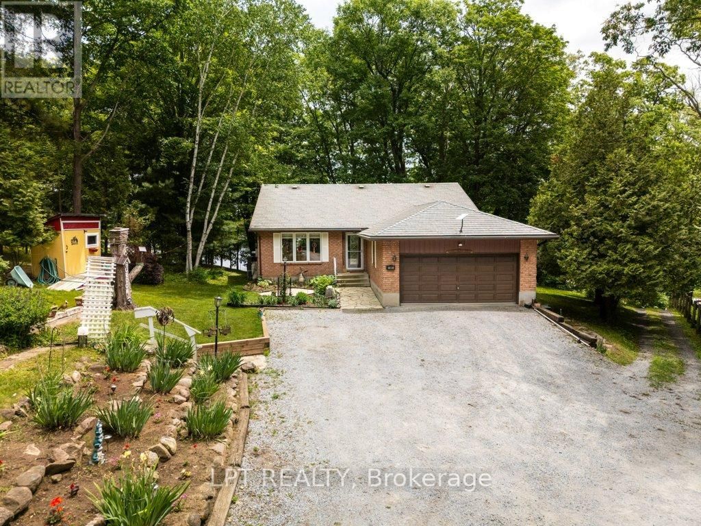Primary Property View