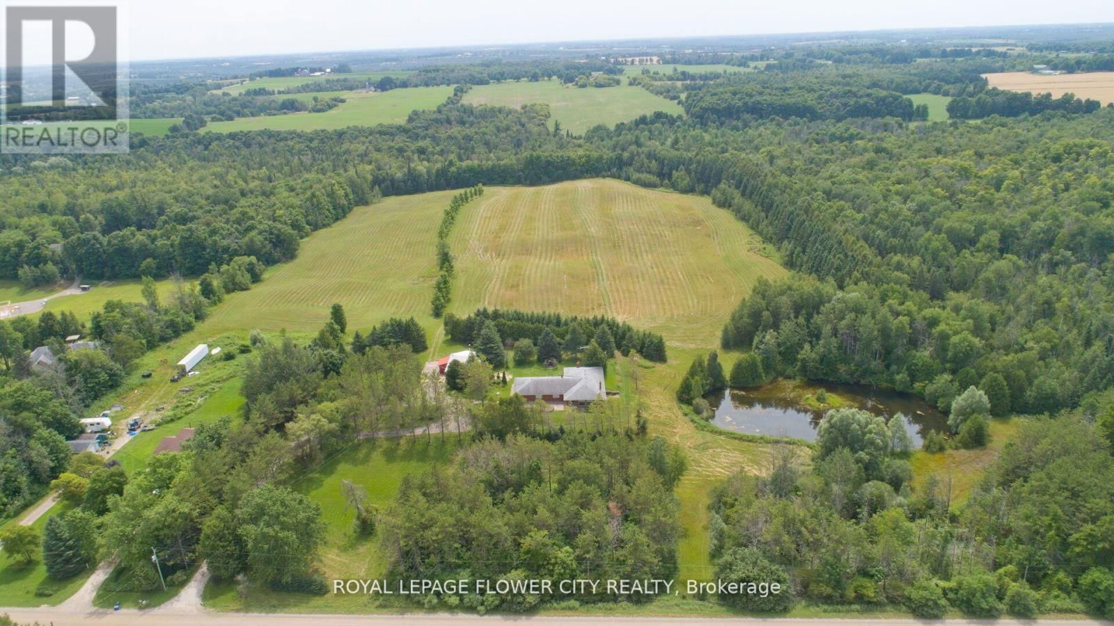 Primary Property View