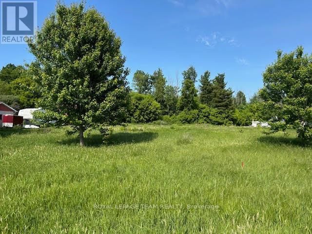 Tertiary Property View