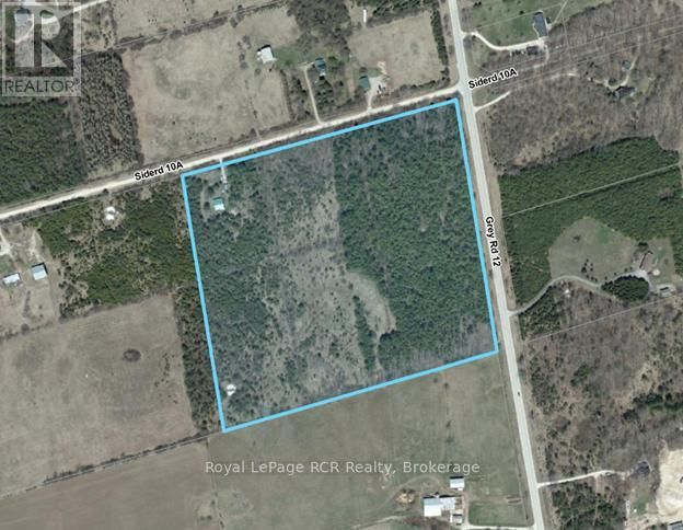 Primary Property View