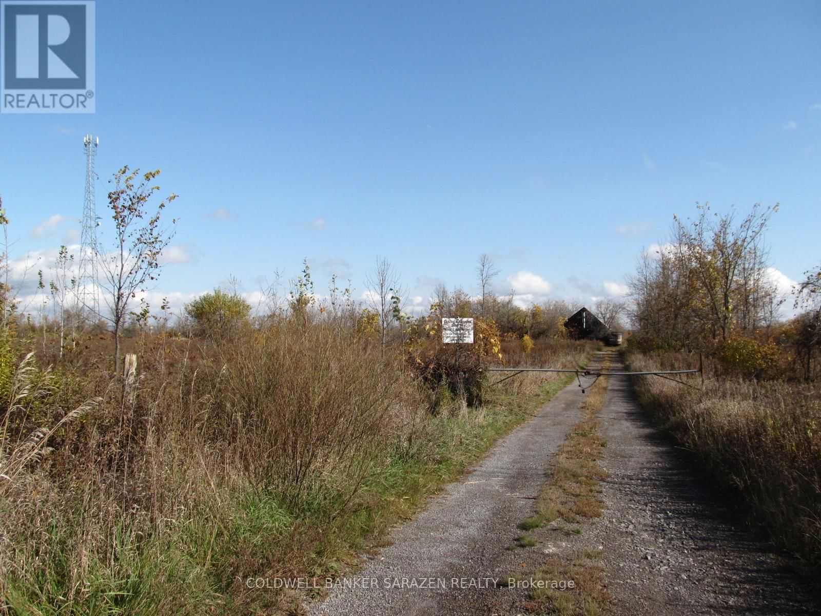 Primary Property View