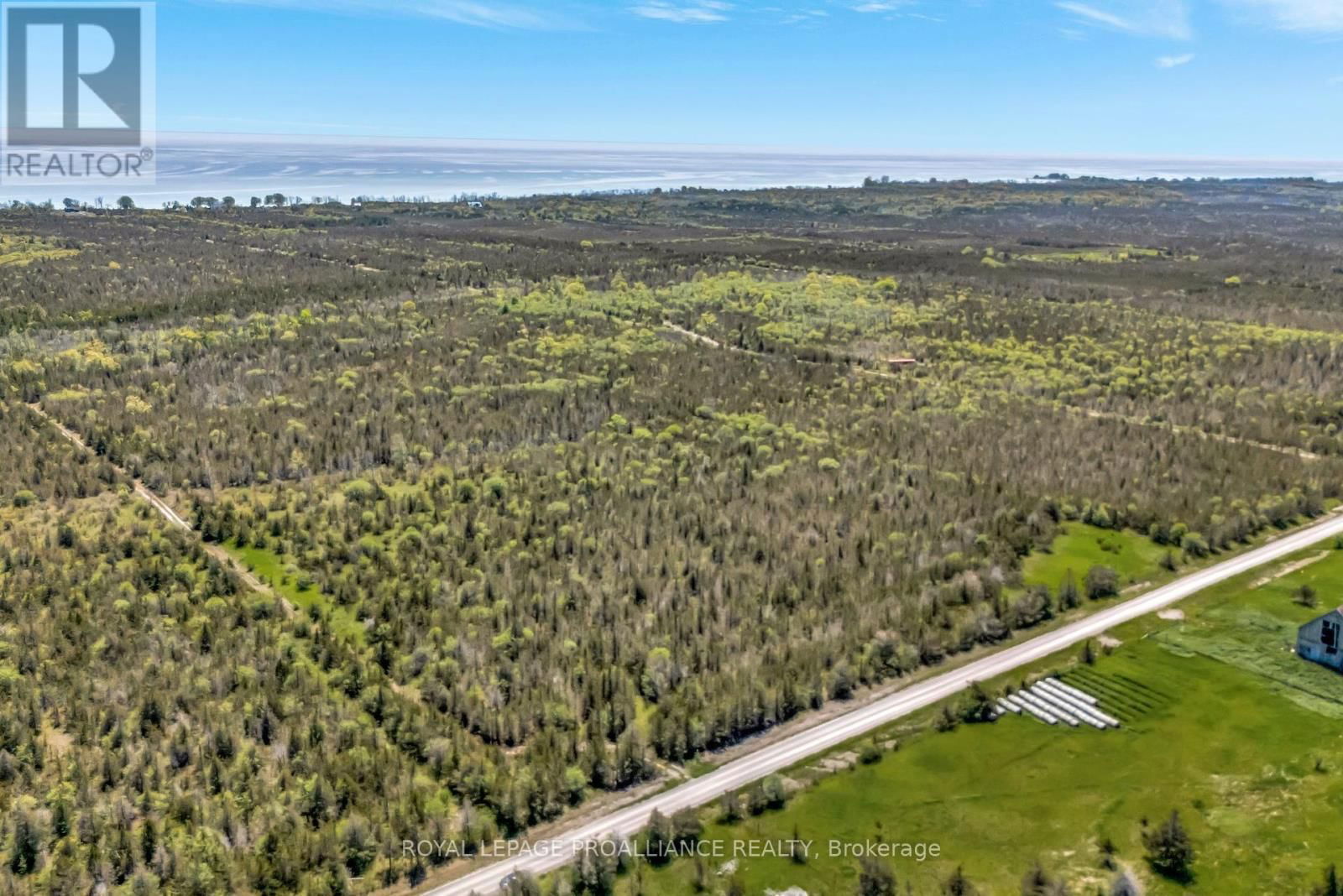 Primary Property View