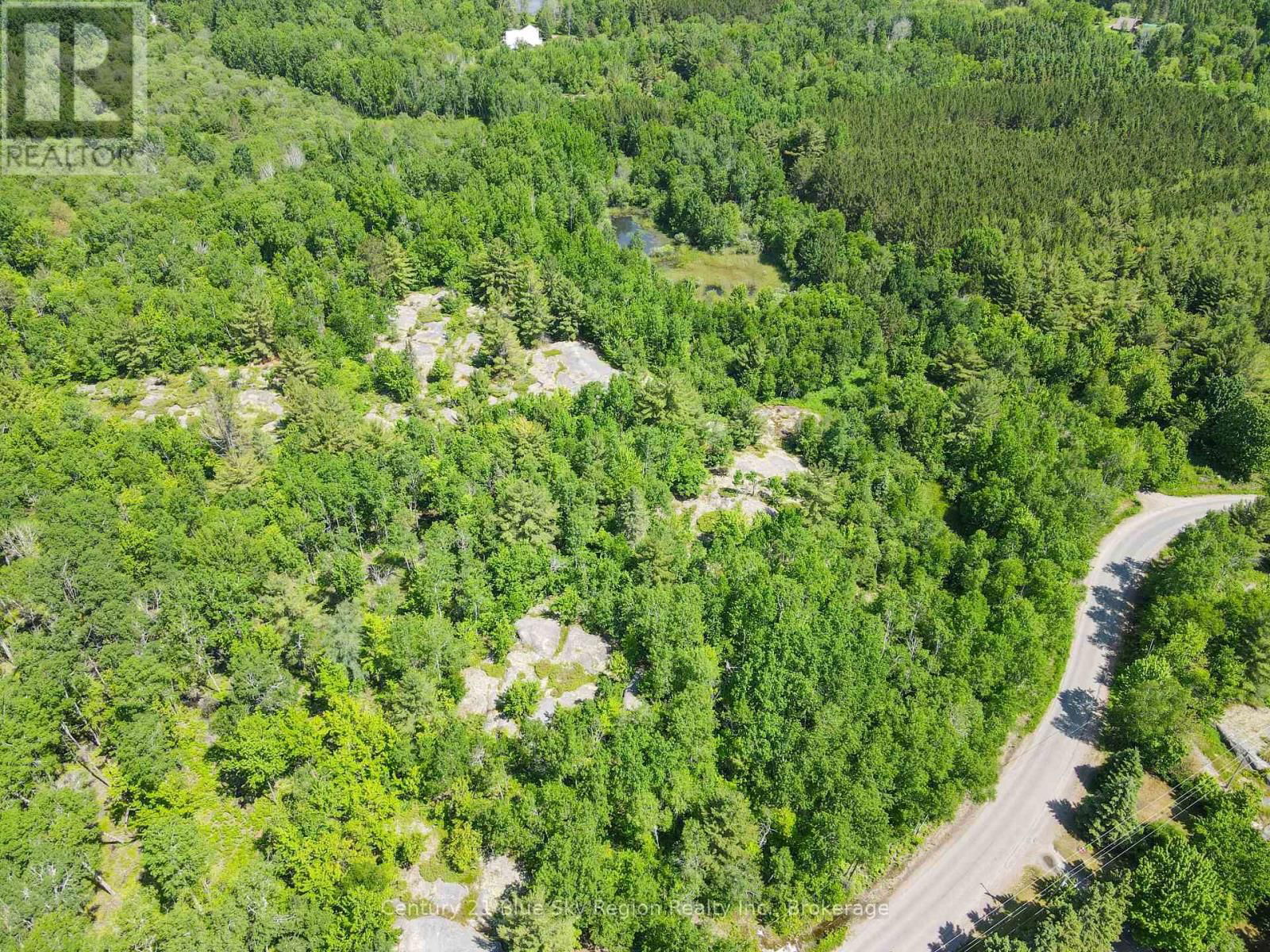 Primary Property View