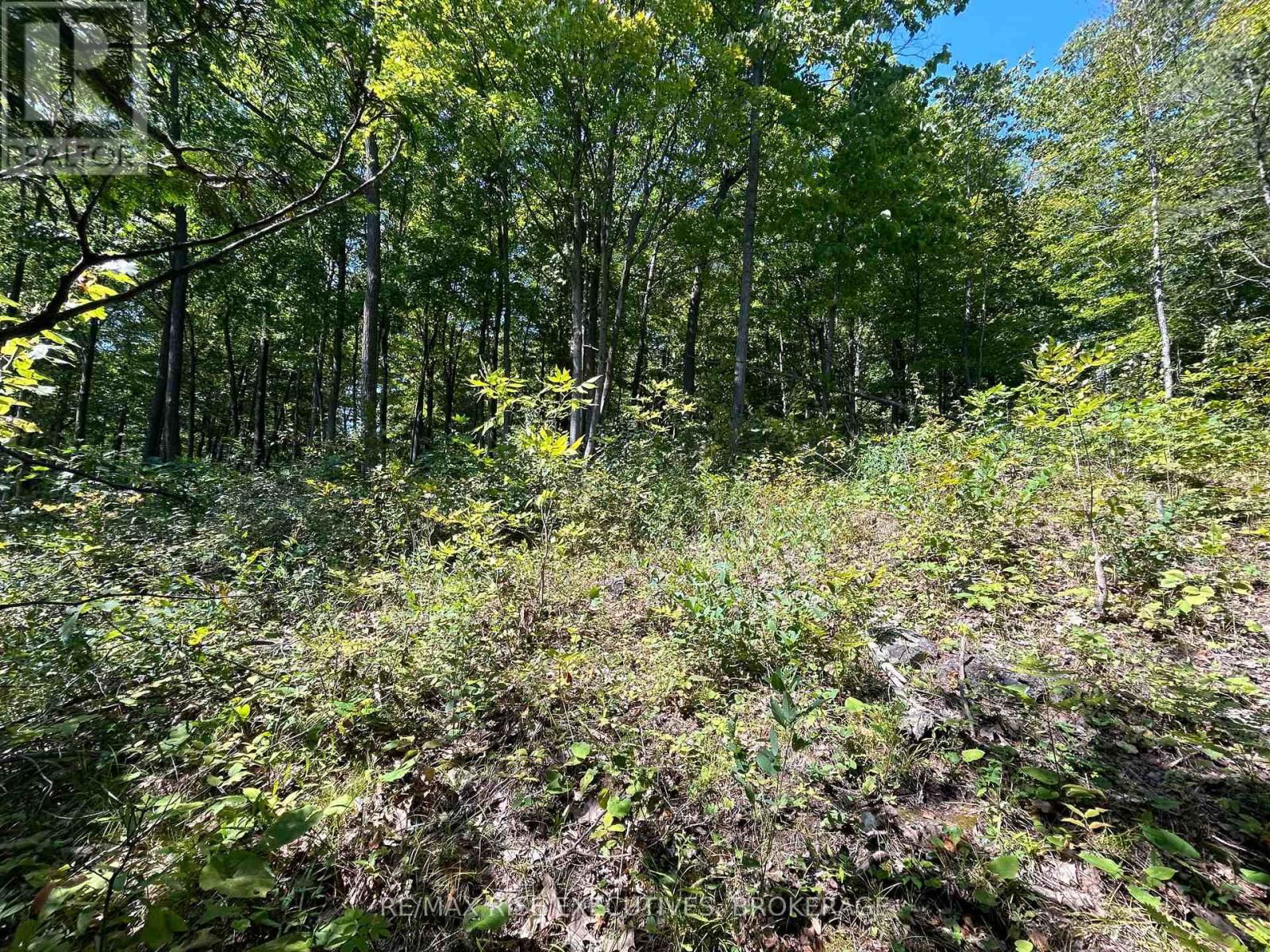 341 STEVE BABCOCK LANE Image 18