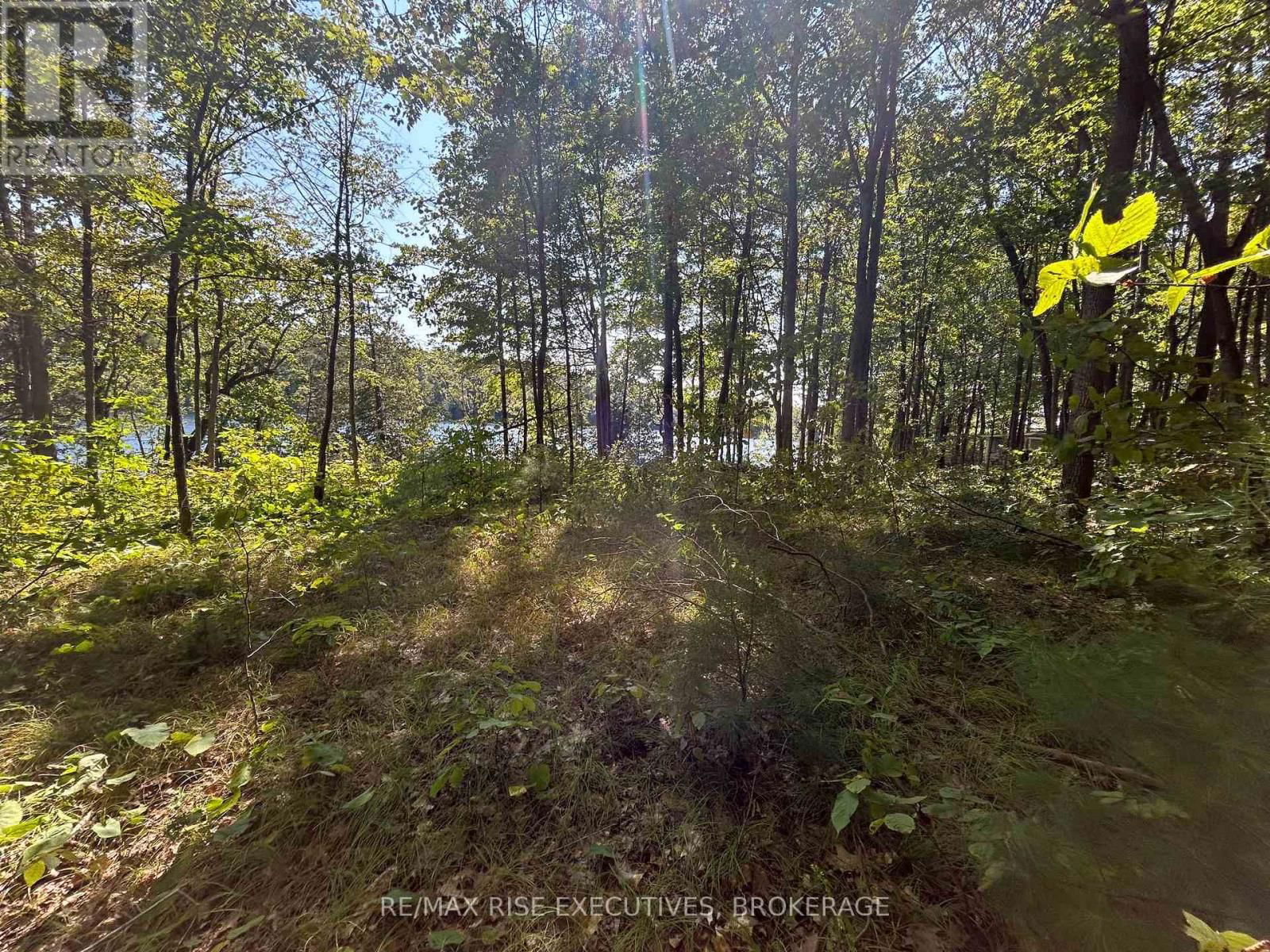 341 STEVE BABCOCK LANE Image 19