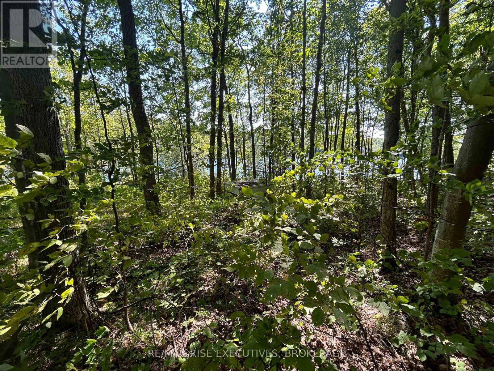 341 STEVE BABCOCK LANE Image 20