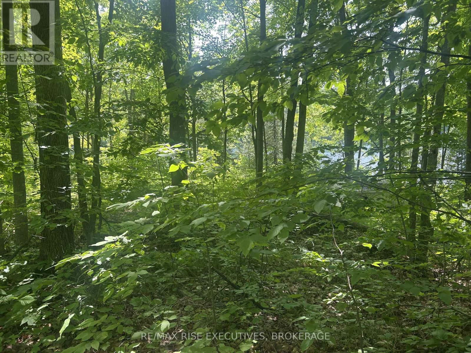 341 STEVE BABCOCK LANE Image 26