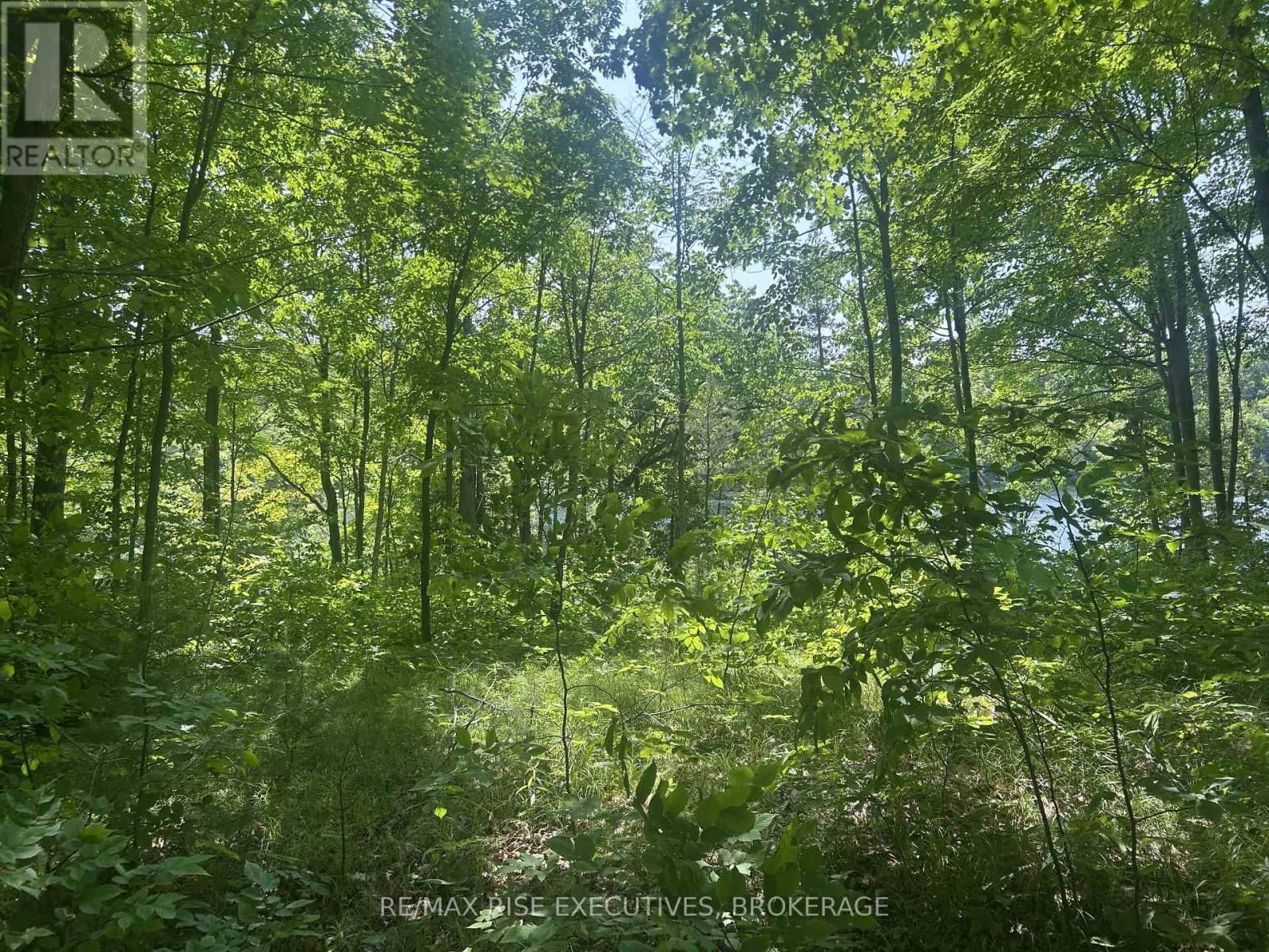 341 STEVE BABCOCK LANE Image 29