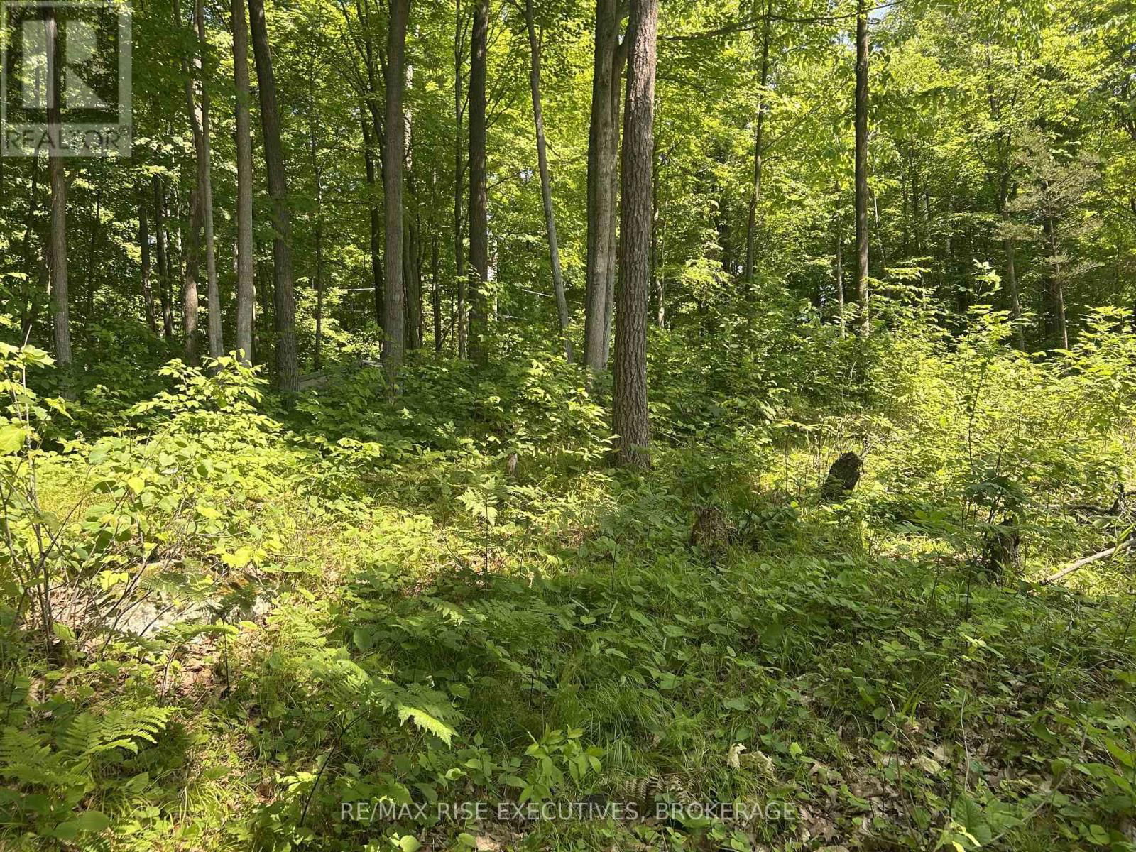 341 STEVE BABCOCK LANE Image 30