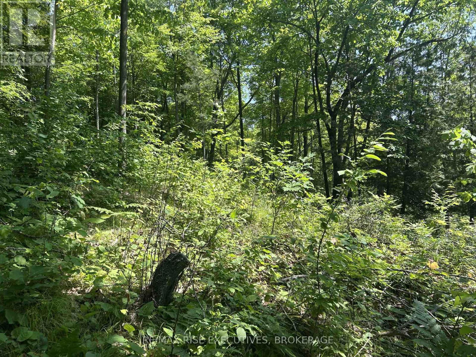 341 STEVE BABCOCK LANE Image 32