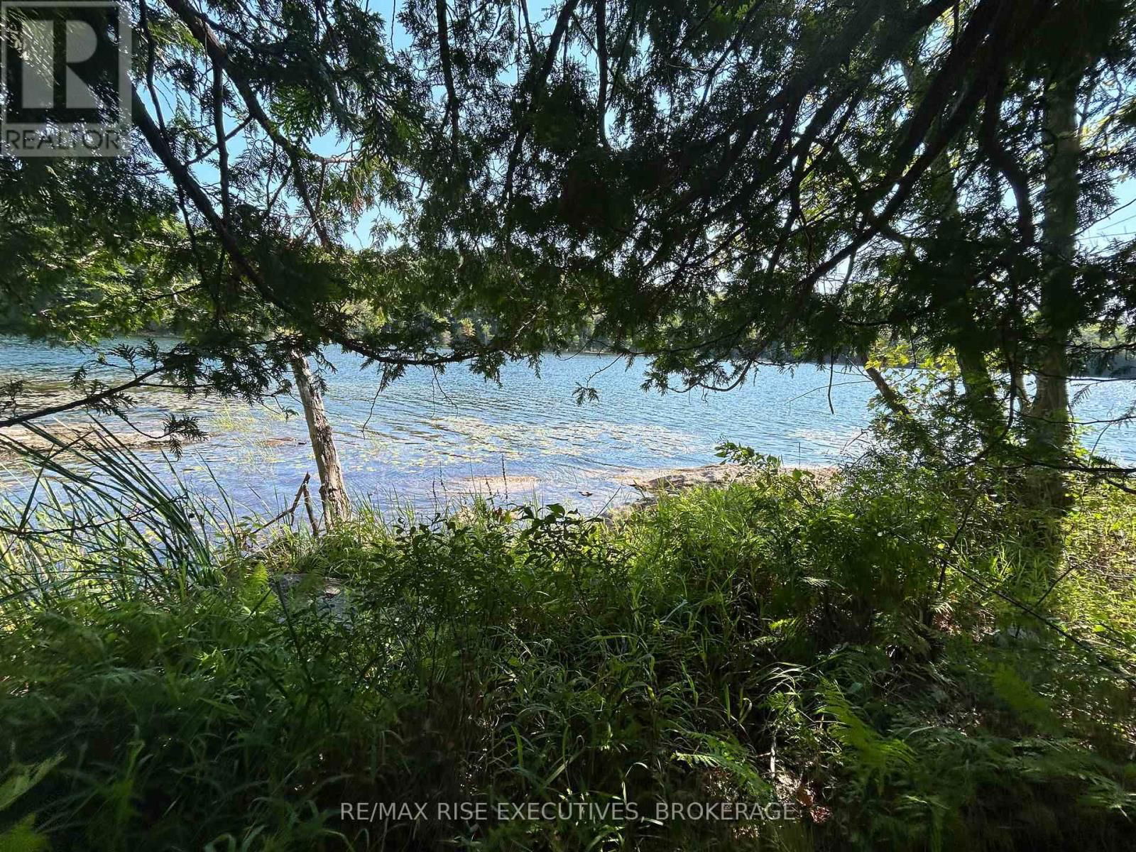 341 STEVE BABCOCK LANE Image 6