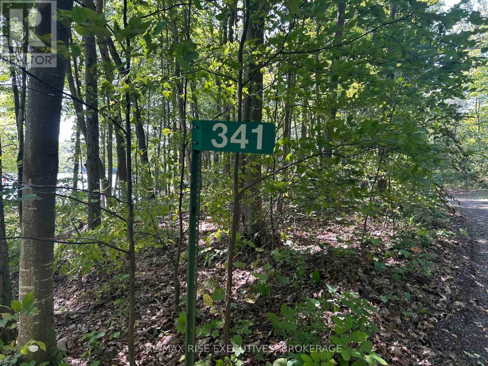 341 STEVE BABCOCK LANE Image 7
