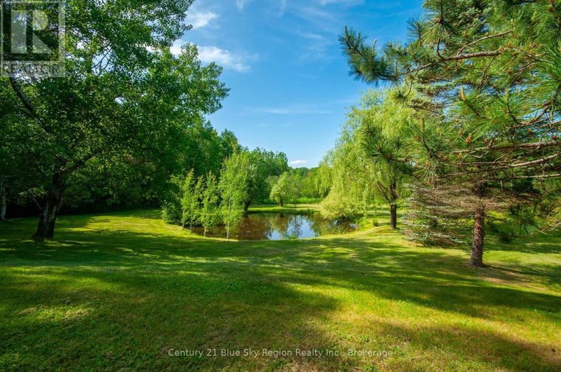Tertiary Property View