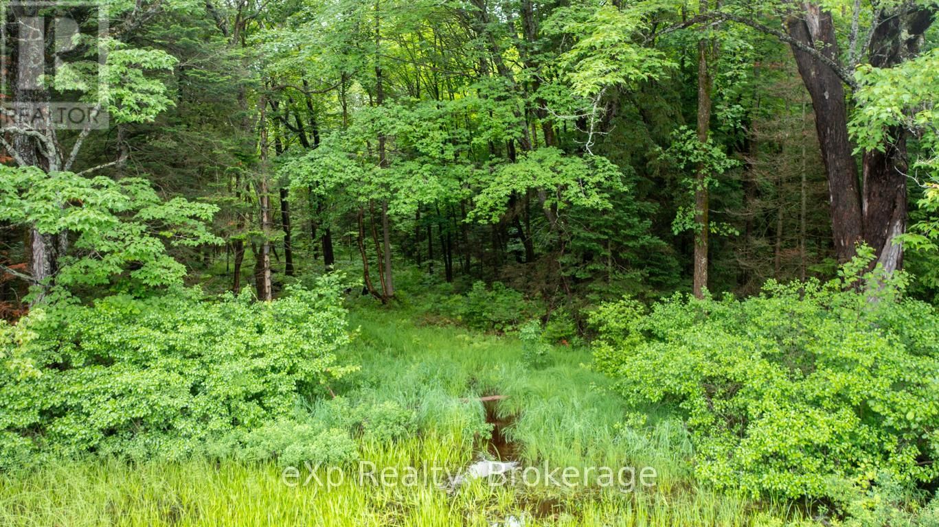 3 KINGFISHER ROAD Image 12