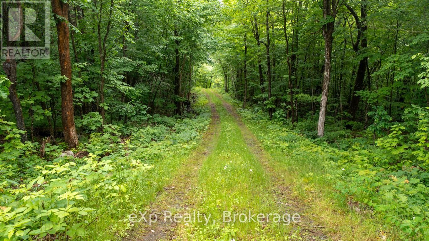 3 KINGFISHER ROAD Image 15