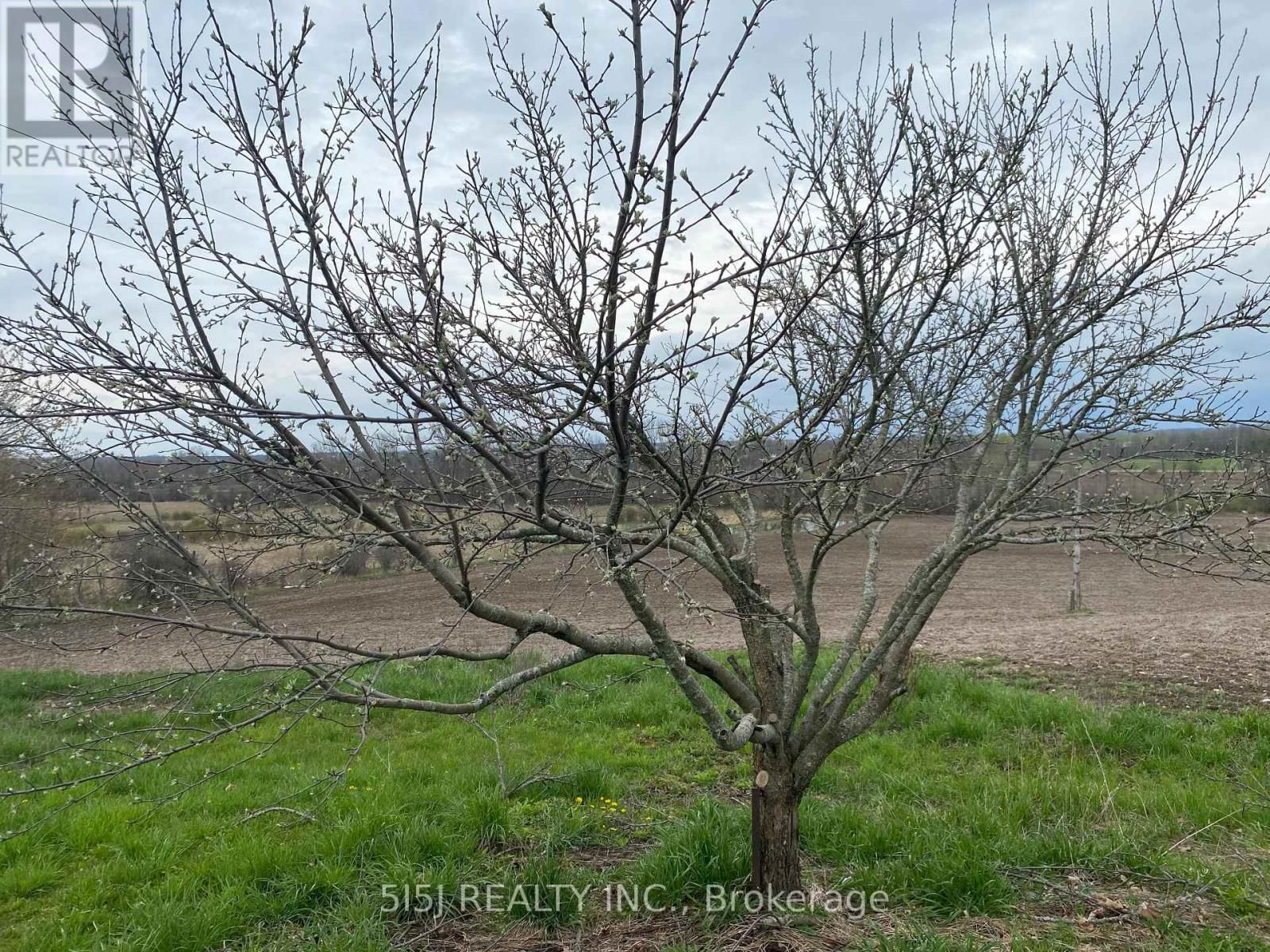 191 LONG BEACH ROAD Image 7