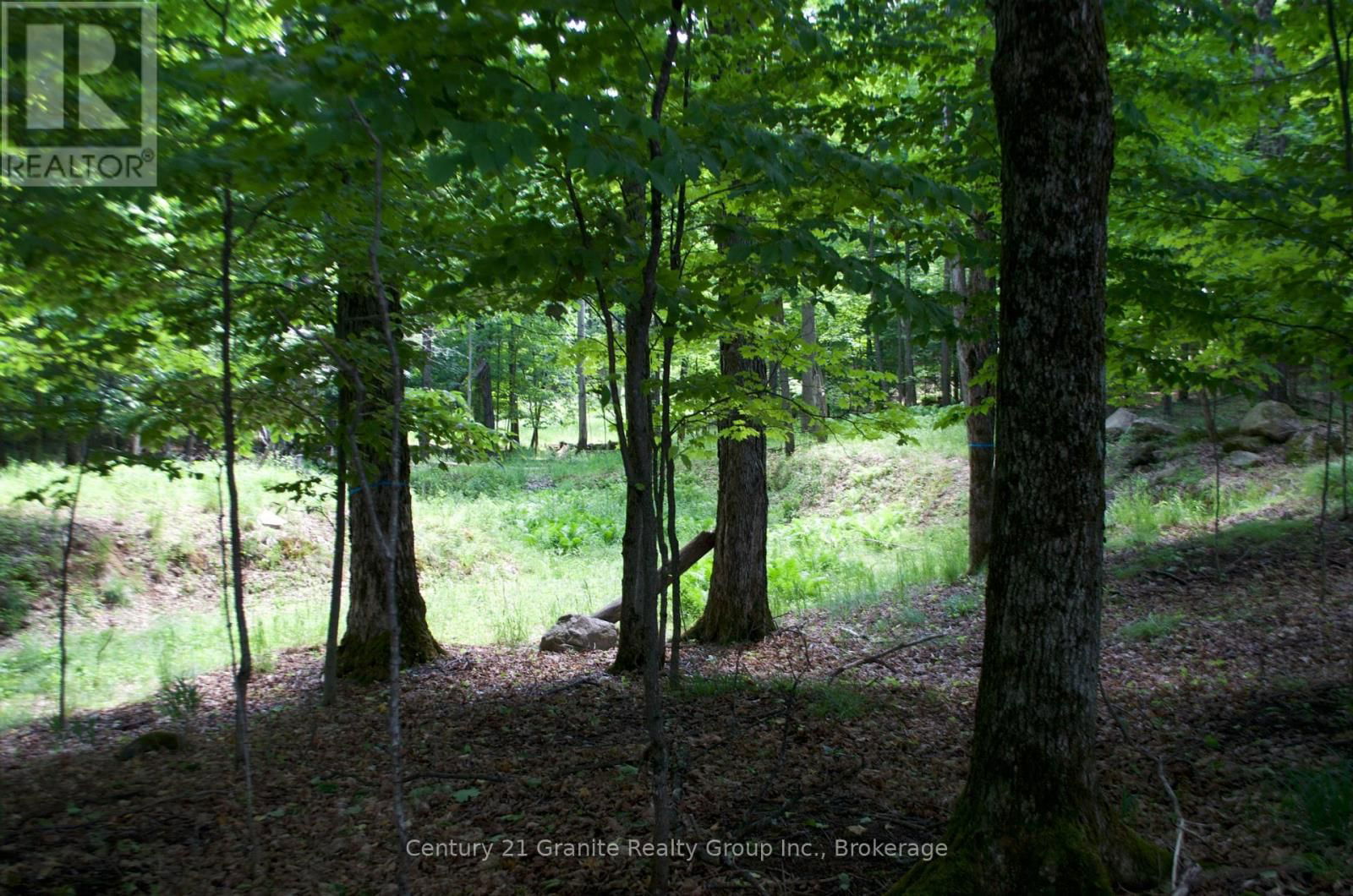 Lot 7 RIDGEVIEW ROAD Image 10