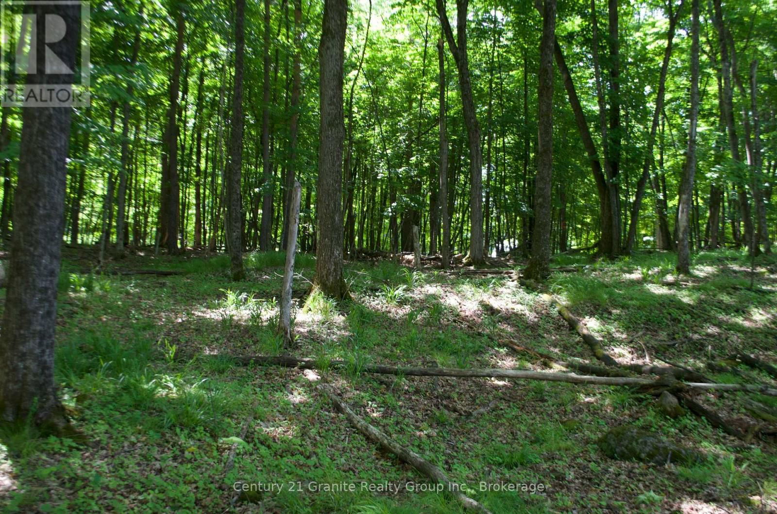 Lot 7 RIDGEVIEW ROAD Image 11
