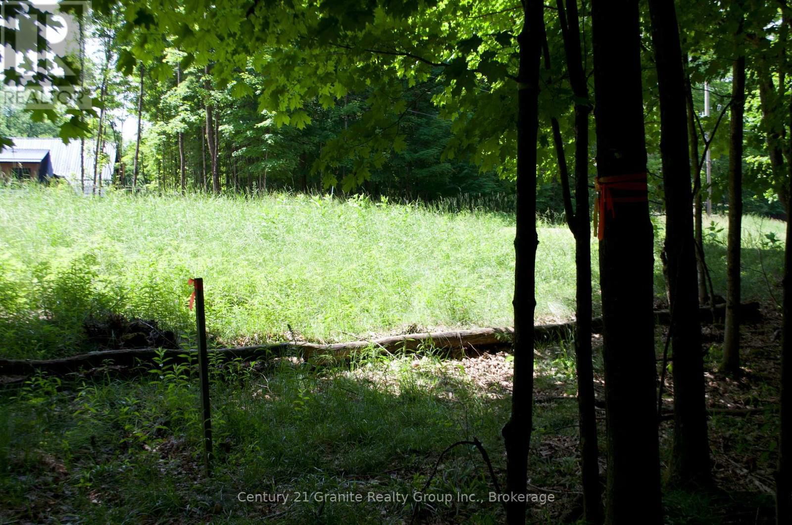 Lot 7 RIDGEVIEW ROAD Image 12