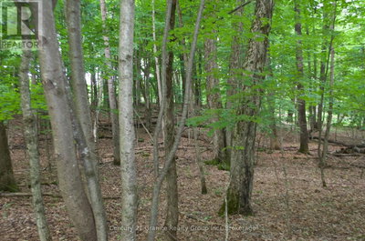 Commercial for Sale in Ontario